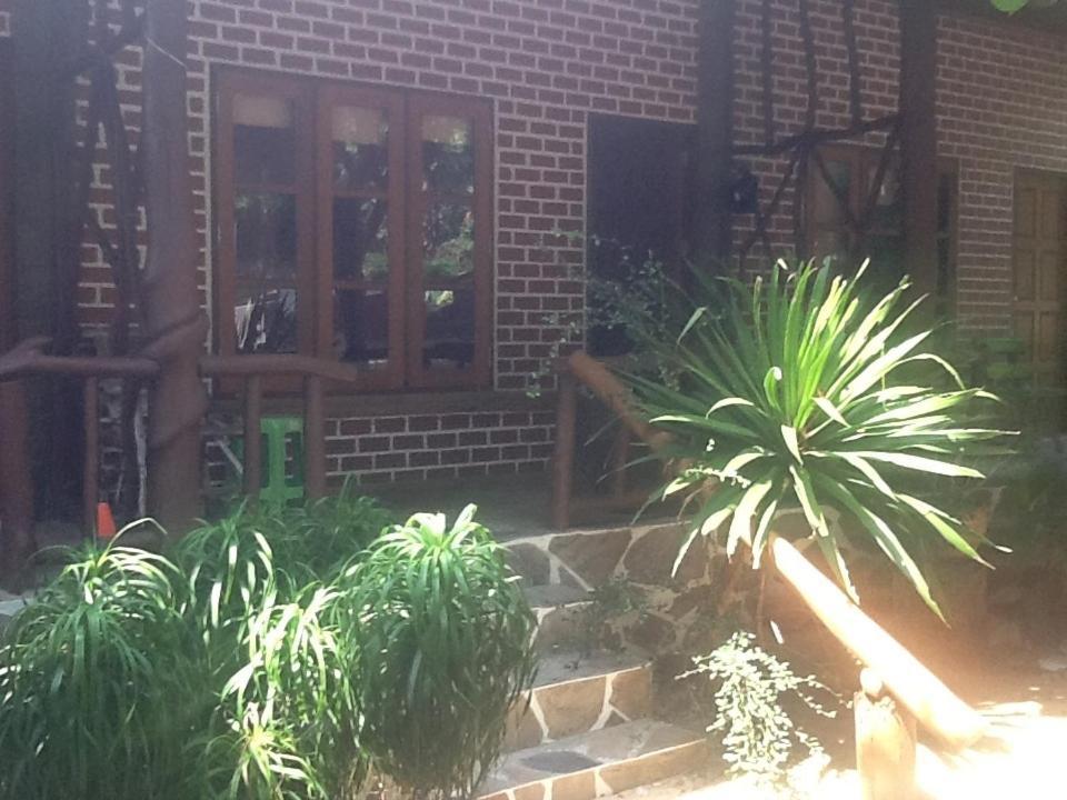 Peach Guesthouse Haad Rin Cameră foto